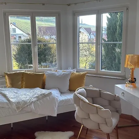 Villa Pool Wellness Golf Area Near Basel